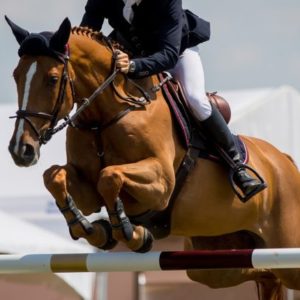SHOW JUMPING BEGINNER GROUP LESSONS
